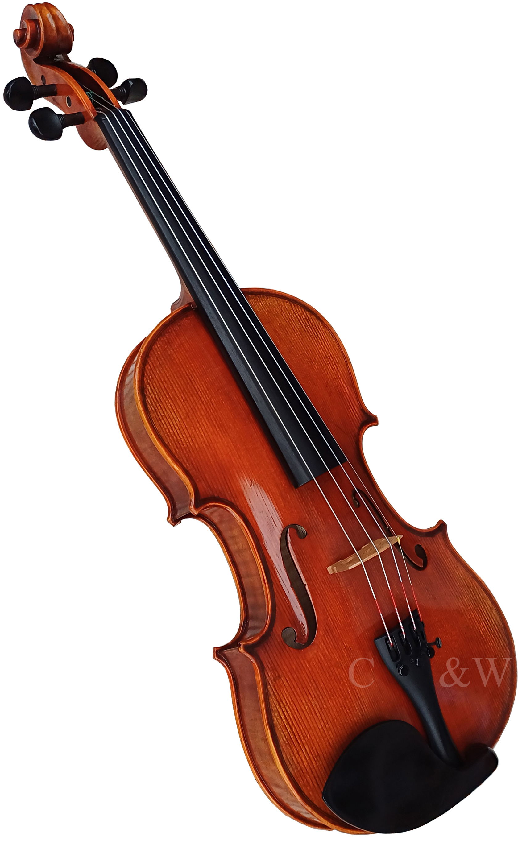 Eastman Master Series Violin 